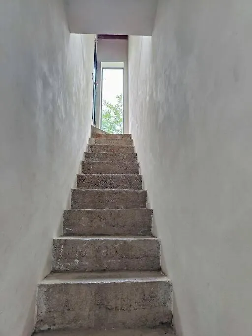 A Casa Di Zara Apartment Palermo