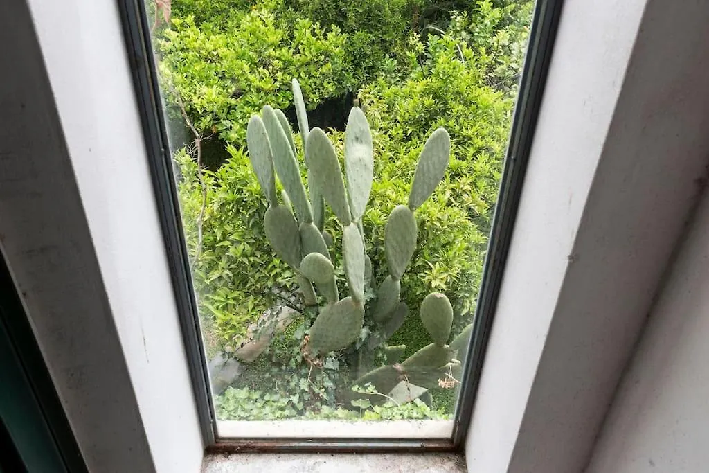 A Casa Di Zara Apartment Palermo