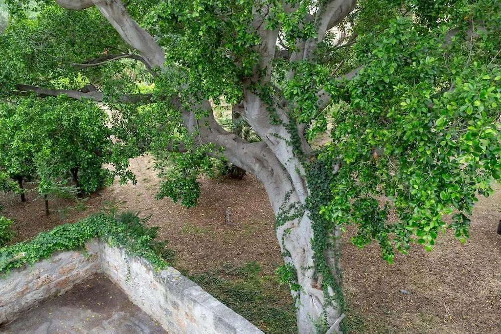 A Casa Di Zara Apartment Palermo