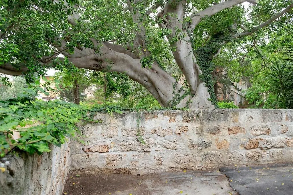 A Casa Di Zara Apartment Palermo